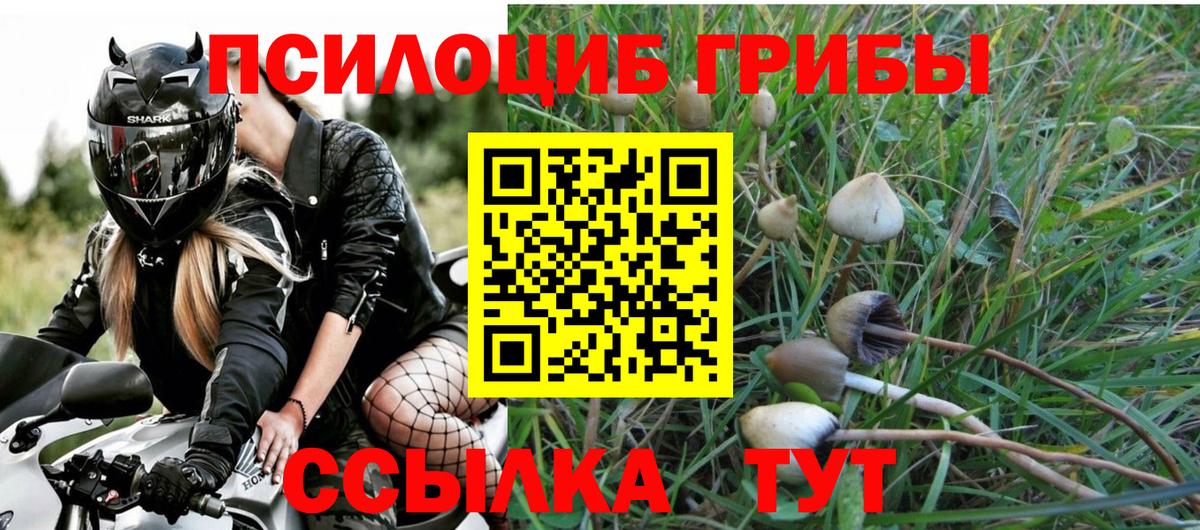 Галлюциногенные грибы Magic Shrooms Биробиджан