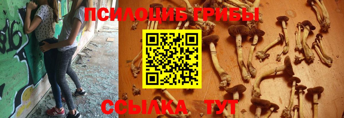Галлюциногенные грибы мицелий  Вход с VPN  Биробиджан 